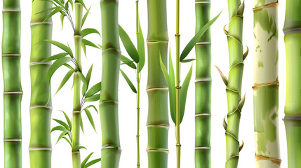 Close-up_of_different_bamboo_species_realistic