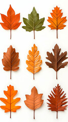 Naklejka premium Nine autumn leaves arranged on white background; fall foliage design element for seasonal projects. generative ai