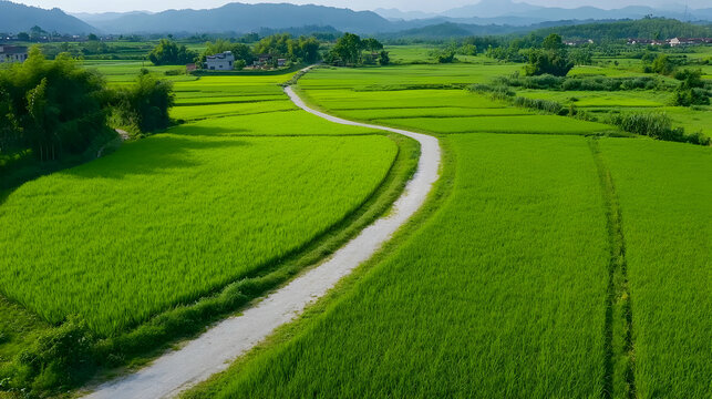 Winding road through vibrant green rice paddies, rural China, mountain backdrop, travel/tourism. generative ai