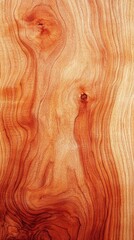 Fototapeta premium texture of wood, image with copyspace, brown background