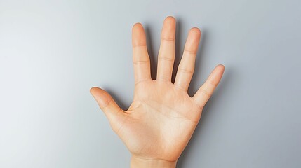 open hand palm on gray, open hand palm stop gesture, open hand palm showing fingers clearly ,raised open palm ,neutral stop gesture ,communication hand signal