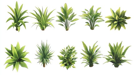 A collection of ten realistic green bushes, isolated on a white background.  These are perfect for adding a touch of nature to your designs.