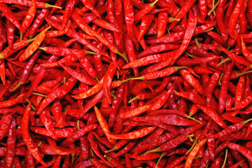 Fototapeta premium pile of red dried chili peppers