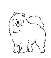 cute dog minimalist illustration line art