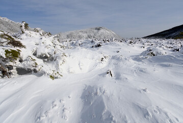 冬の北八ヶ岳、坪庭と雨池山