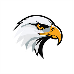 Stylized Cartoon Eagle Head Drawing for Creative Projects