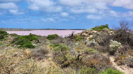 Hutt Lagoon, Pink Lake in Western Australia