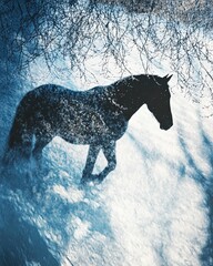 Silhouette of a wild horse blending with snow