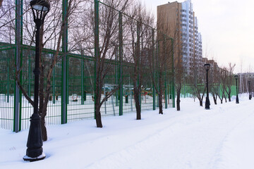 winter in the city
