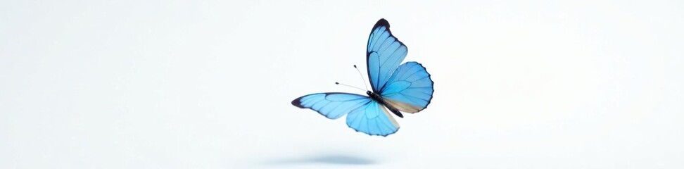 lone blue butterfly suspended in mid-air over a white background, movement, abstract