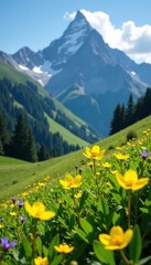 Mountain landscape with blooming yellow celandine, celandine, Carpathian range
