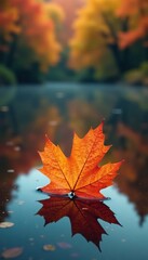 Softly glowing maple leaf on the surface of a calm and clear autumn lake with a blurred background of vibrant fall colors, floating leaf,