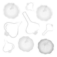Knoblauch