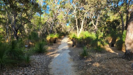 Yanchep National Park in Western Australia