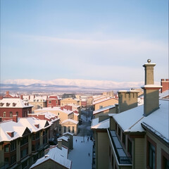 Fototapeta premium roofs of the town