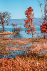 Fototapety na wymiar - Fototapeta24.pl