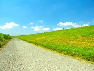 初夏の江戸川河川敷の砂利道とサイクリングやジョギングを楽しむ人のいる休日の江戸川土手風景