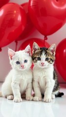 two kittens sitting on white table with many red heart-shaped balloons in the background concept of love, Valentine's Day, pet care