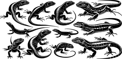 set of black and white lizard