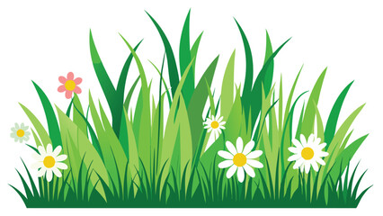 Green grass with flower frame. Spring grass and daisy border isolated.