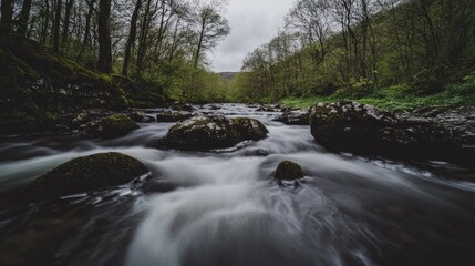Sunlit spring forest with a clear stream running through mossy rocks, surrounded by lush foliage and flowers.