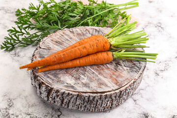 Toung fresh ripe orange carrot