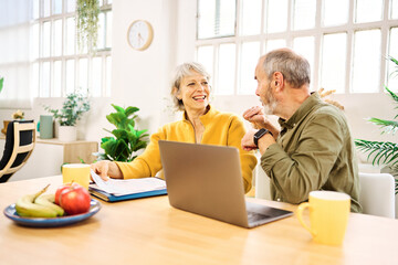 Senior couple using laptop and discussing finances at home