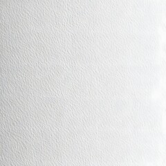A textured white surface, possibly paper, suitable for design or artistic purposes.