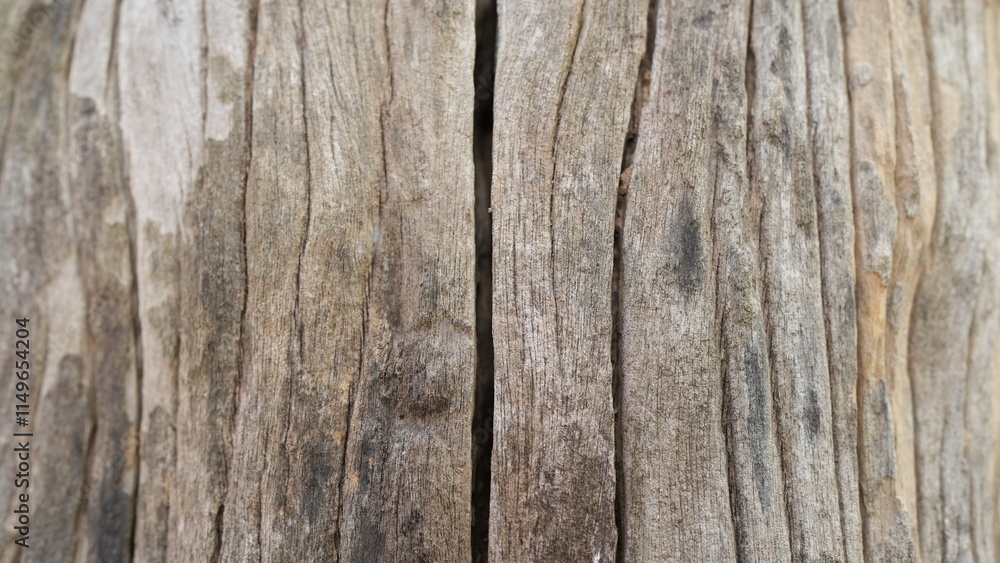 Poster close-up of textured rustic wood with visible splits and grain patterns