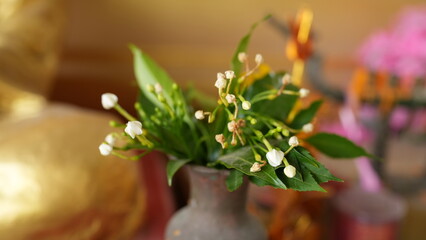 Delicate White Flowers in Rustic Vase with Green Leaves