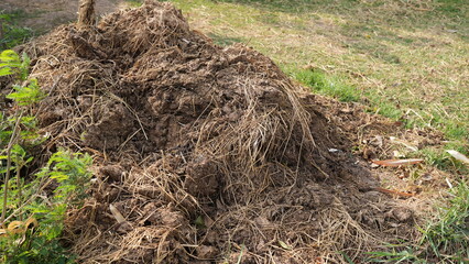 Pile of Organic Compost with Hay and Grass in Garden Setting