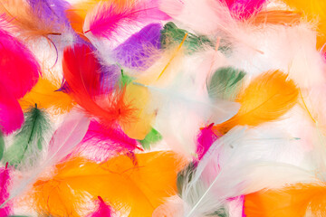 Many feathers, wings, angels, clothes, fashion, watercolor, painting, colors, paints, backgrounds,...
