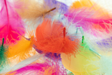 Many feathers, wings, angels, clothes, fashion, watercolor, painting, colors, paints, backgrounds, tribes, Native Americans, backgrounds, patterns, swans, princesses, art, color palettes, cool