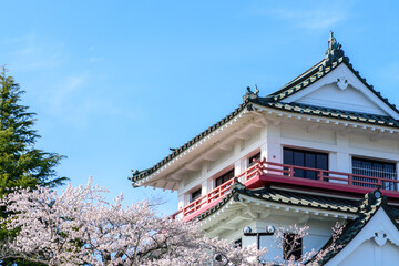 春 涌谷城　満開の桜
