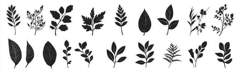 Black and White Silhouette Illustration of Various Botanical Leaves Generative AI
