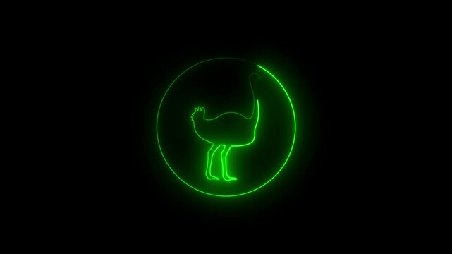 ostrich neon sign, modern glowing banner design, colorful modern design trend on black background.