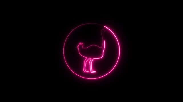 ostrich neon sign, modern glowing banner design, colorful modern design trend on black background.