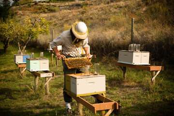 Beekeeper Okanagan Valley