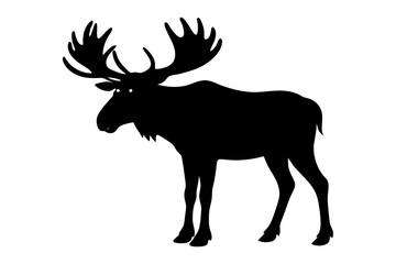 Silhouette of a majestic moose
