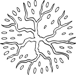 hand drawn vector of top view tree illustration.