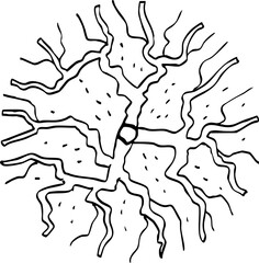 hand drawn vector of top view tree illustration.
