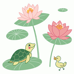water lily and lotus