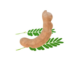 Tamarind isolated on a transparen png.