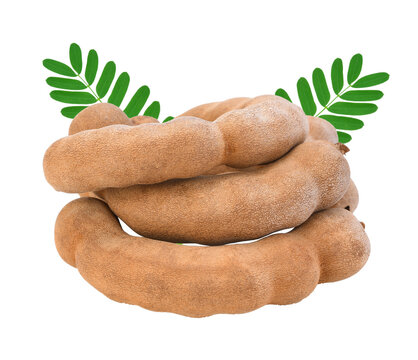 Tamarind isolated on transparen png.
