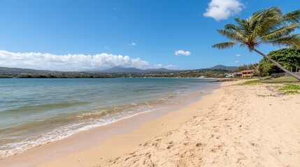 Relaxing beach day tropical shore landscape photography sunny environment coastal viewpoint serenity concept