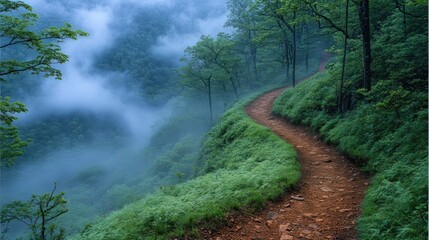 Fototapeta premium Misty mountain path winds through verdant forest.