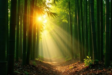 Obraz premium Bamboo grove at sunrise with warm light and shadows, bamboo grove, shadow play, morning sunlight