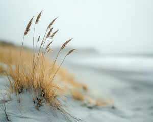 Beach sand in sharp focus with a soft, blurred ocean background, creating a calming and serene coastal scene