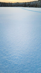 Background made of field cowered with snow with a line trees of forest at horizon in the background at evening dusk with sunlight at cold winter season outdoors at countryside with copy space