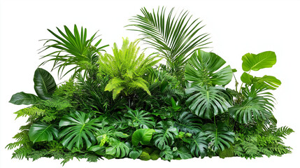 Obraz premium tree leaves, lush green tropical plants bush, cut out, plants isolated on white background